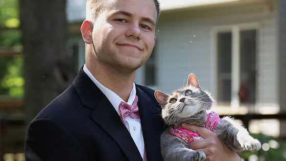 Someone wanted to go to prom right meow! 