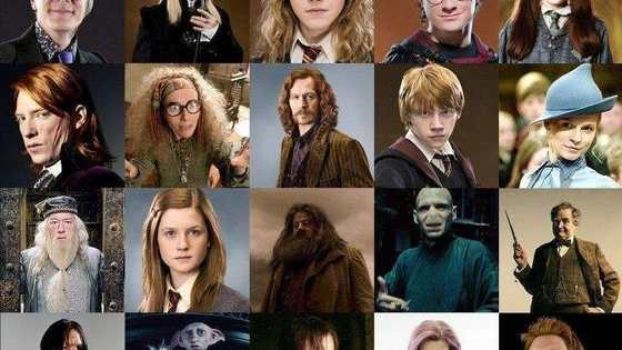 Be warned: the colors may surprise even the biggest fans of the Wizarding World!