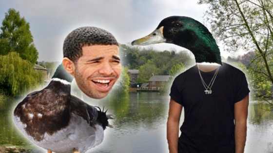 Swimming through the pond with my woes