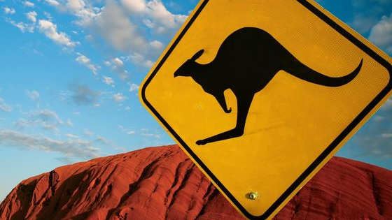 How many of these Australian animals can you recognize?