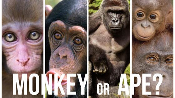 The first step to helping these amazing creatures is to know what they are! How educated are you?