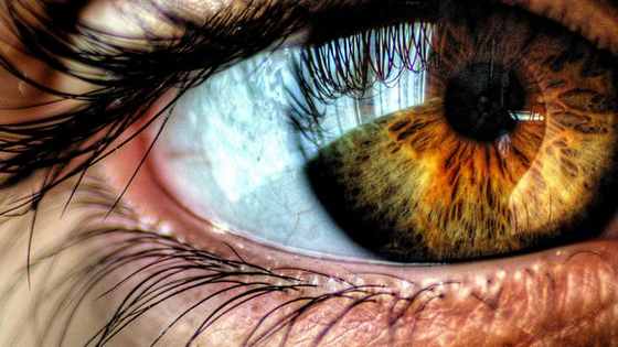Take this very short quiz to find out what exactly your eye color reveals about your personality! (Disclaimer: This is for natural colors, and I tried to incorporate every eye color, no matter the rarity of it. Therefore, I had to leave out red, or "albino" eyes.)