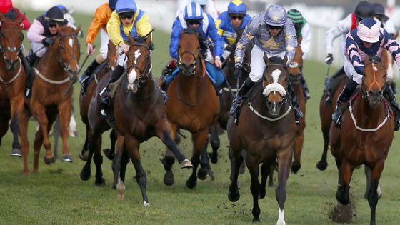 Test your knowledge on the first flat turf race of the UK season.