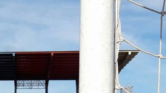 Enquete: Thiago Neves seria uma boa contratação para o meio do Cruzeiro?