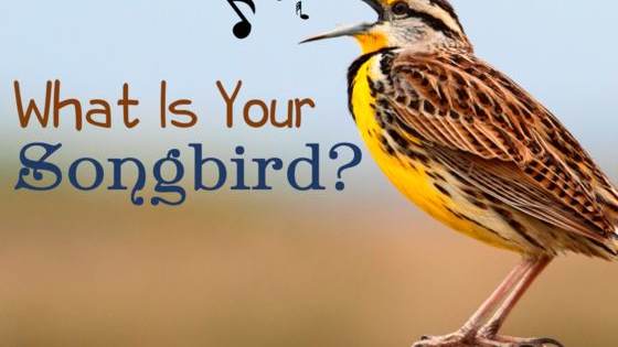 Which of nature's little singers is singing your song?