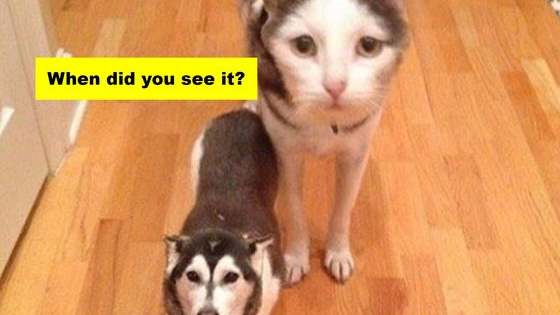 You have 3 seconds to spot it. 