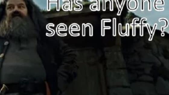 True Harry Potter fans know who Fluffy is. 