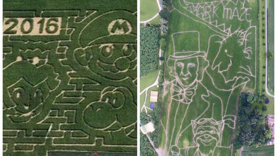 Corn mazes come in all shapes and sizes, and thanks to the magical world of Twitter, here are 11 of the most unique.