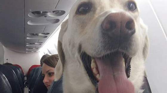Just this once, everyone gets to ride up front! 