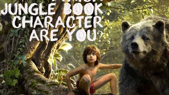 What is your inner animal?