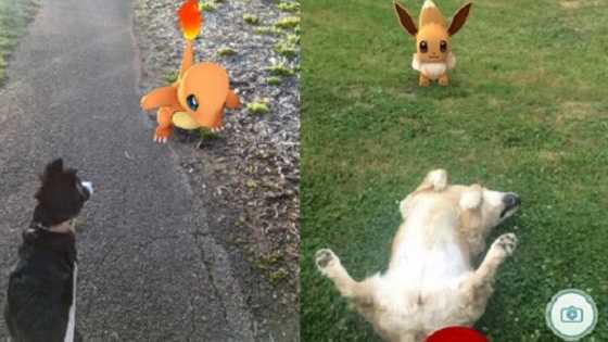 Pokemon Go; Helping you walk them all! 