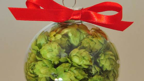 Not sure what to get your craft beer-loving friend or family member for the holidays? Take our quiz and we'll let you know which Pair O' Dice Brewing merch would be best for your brew buddy. 