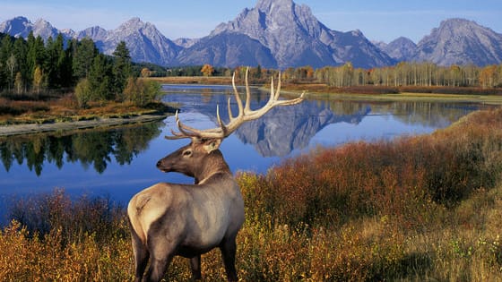 Celebrate 100 years of America's beautiful parks!