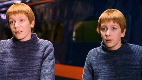Listen, not even their mother, the great Molly Weasley, could tell them apart most of the time. Test yourself here!