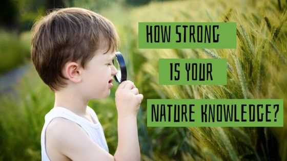 Ahhh, yes... Trees, mountains, oceans, and critters... Are you a master of the wild, or more of an "inside person"?