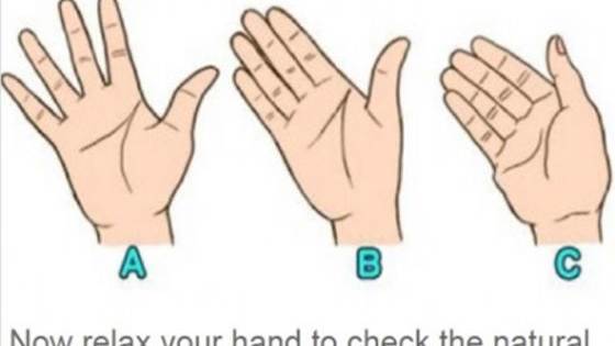 Do you want to dive deeper into your personality? It’s a simple matter of looking down at your hands. The spacing between your fingers, scientifically known as the interdigital folds, is best viewed by putting your hand in a relaxed position and reading the guide below.