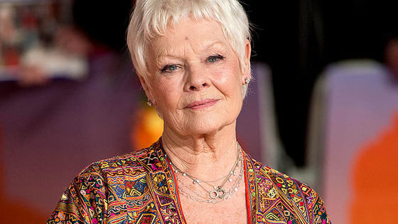There are varying degrees of love for Judi Dench. How far does your adoration stretch?