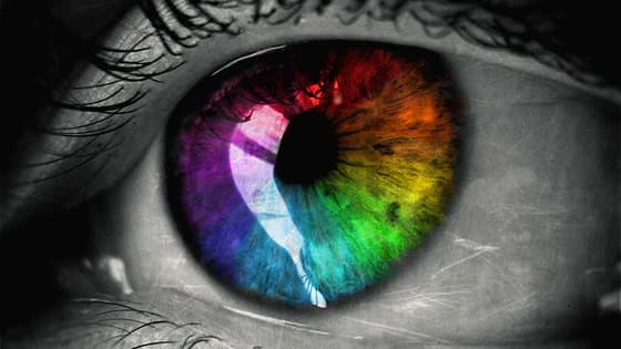The shades of gray you perceive most strongly will tell you the color of your inner eye! Find out here!