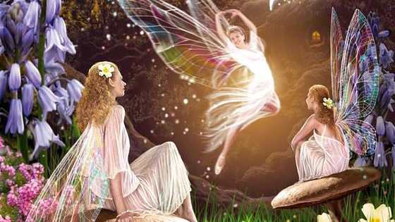 Take this quiz and find out what your fairy element is!