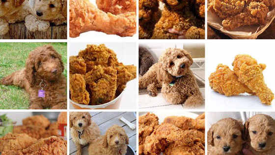 These images have us questioning reality and rolling in laughter at the same time. 