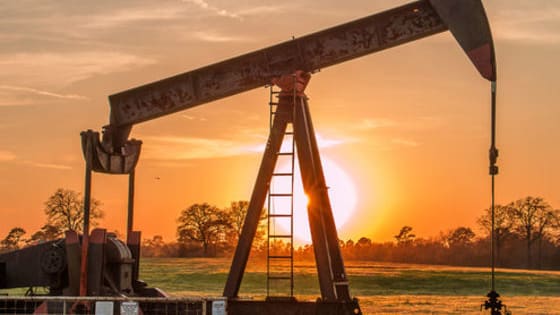 As of 2016, the price of an oil barrel has been falling fast, hitting its lowest level in over a decade. Solve our True or False quiz & discover a few things you probably wouldn’t have ever thought would be more or less expensive than oil!