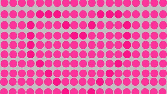 What do YOU see?