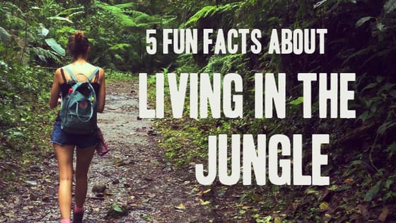 These 5 fun facts will get you even more excited about the jungle!

www.frontier.ac.uk