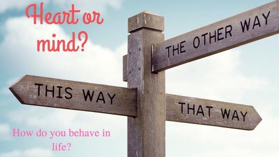 Are your decisions are based on what you feel or what you think is best?