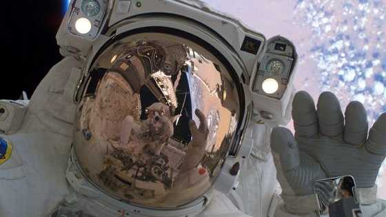 NASA is so much more than space travel.