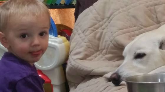 A mom recently shared photos online of her two-year-old son being a great pal to man's best friend, and his generosity will inspire you!