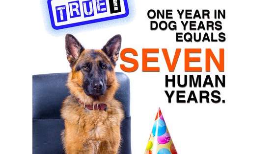 Most people believe THESE 5 THINGS to be totally true, but are they?