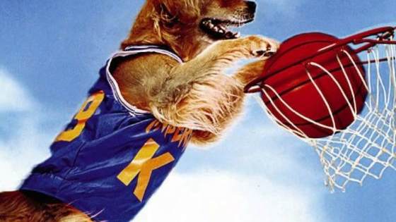 The '90s were the perfect time for animal movies. From Babe to Balto, they kept coming for the majority of the decade, and they didn't stop at animated features. There were live-action adventures as well. But which one of them did you really identify with? Take our quiz and find out! 
