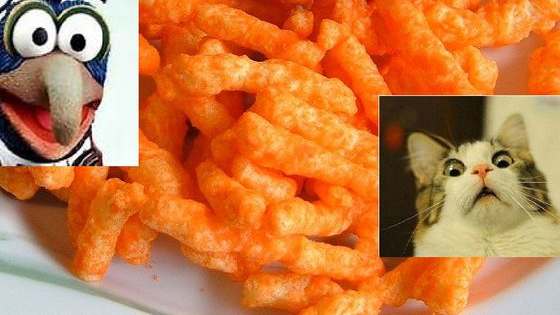 Have you ever seen a cheese curl that looks like a cat? We have! See if you guess what people think these cheetos hilariously resemble.