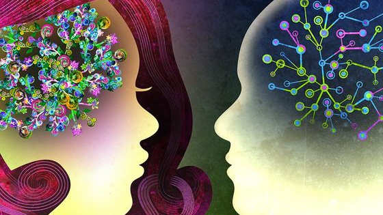Do you have a male brain or a female brain?