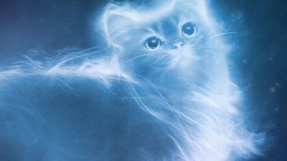 The 'official' quiz told you that your Patronus was something rubbish like a wet dog or a sewer rat or something - but we know that's not really you. 

Find out what your real Patronus is!
