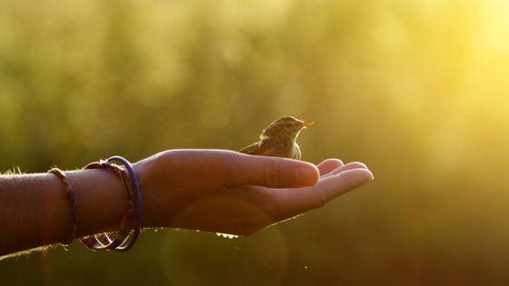 Are you living into TRUE Joy and Happiness here and now? Are you able to recognize when you are having a Spiritual experience?

Take the quiz to find out!