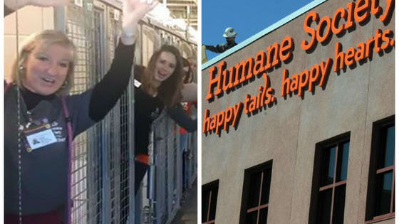 The Humane Society of the Pikes Region in Colorado had something very special to celebrate this week, and they came up with quite a unique way to do it!