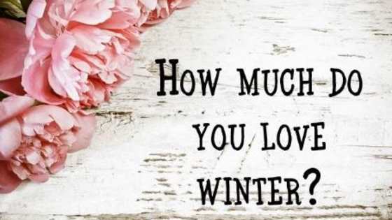 Are you ready to discover your winter wedding destination?