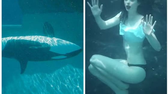 PETA has just released a first look at their campaign with Krysten Ritter to have Sea World release its Orca whales into seaside sanctuaries, and it's heartbreakingly beautiful.