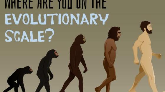 Are you a neanderthal or a modern homo sapien?