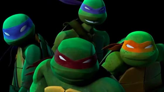 Donnie, the brainy one? Mikey, the party dude? Leo, the leader? Raph, the muscle? No obvious answers!! This quiz is based off of the 2012 series but applies to all generations! :) Enjoy and comment your result!