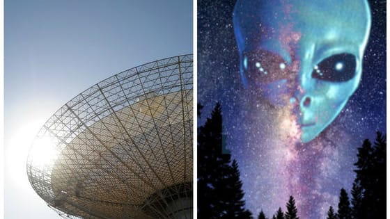 A Russian radio telescope detected a mysterious signal last year that may be from an advanced civilization 95 light-years away. Do you think it could be aliens?