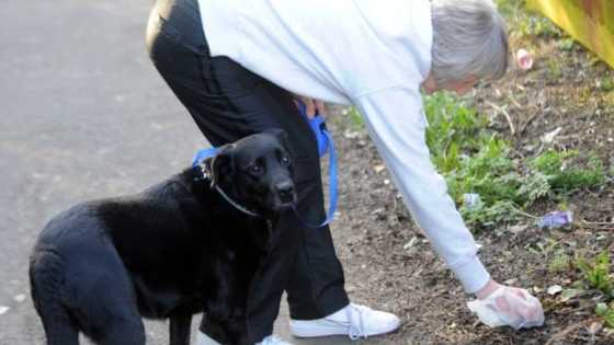 Give us your opinion on changes to the law in 2015