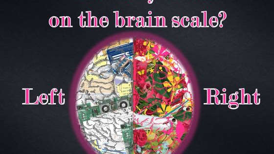 Brain lateralization has been a topic of discussion among scientists for centuries. Play to find out where exactly you land on the scale!