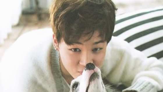 BTS's Park Jimin attended Busan Arts High School as one of the top students for dance and is part of BTS's dance line! So which of his solo performances did you enjoy most?