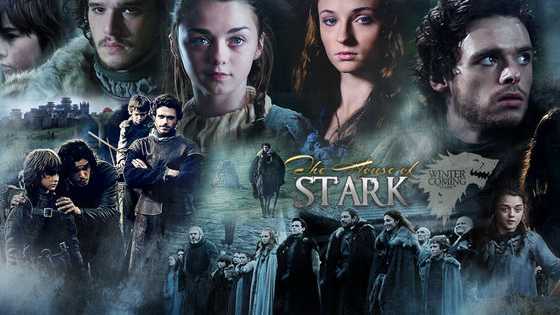 Are you Arya, Sansa, Bran, Robb, Jon Snow, Catlyn or Ned Stark? Find out here! Only take this quiz if you have read or watched up to a storm of sword's part two.