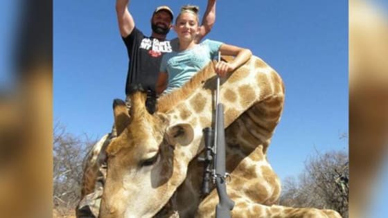 Aryanna Gourdin may have a series of big game kills under her belt, but she's still only 12 and the internet is NOT happy. Content Warning; some of these images are hard to look at.