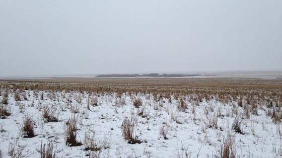 This is what Liezel Kennedy saw when she headed into her field near Shamrock, Sask. this morning to find her flock of 550 sheep. Can you see them? (Via CBC News) 