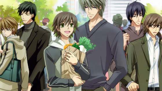 Are you the caring Misaki, or the guarded Hiroki? How about the optimistic Nowaki, or the average Miyagi-sensei? Find out in detail.