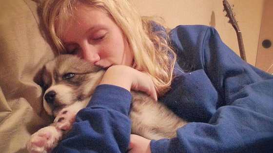 Meet Goldielocks and the Wolf